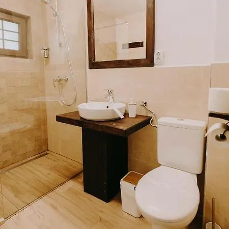 Pensiunea Poiana Vladesei Guest house