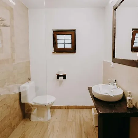 Pensiunea Poiana Vladesei Guest house
