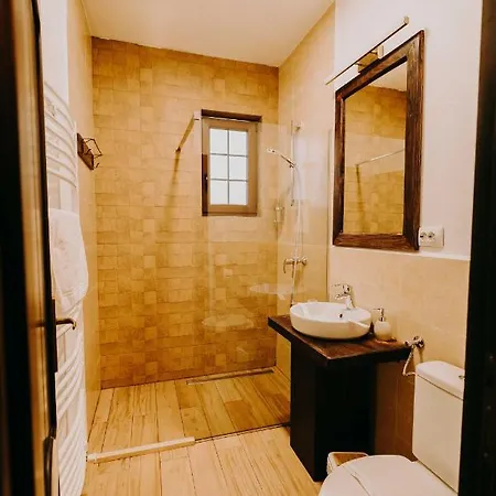 Guest house Pensiunea Poiana Vladesei Sacuieu