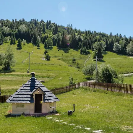 Pensiunea Poiana Vladesei Guest house *