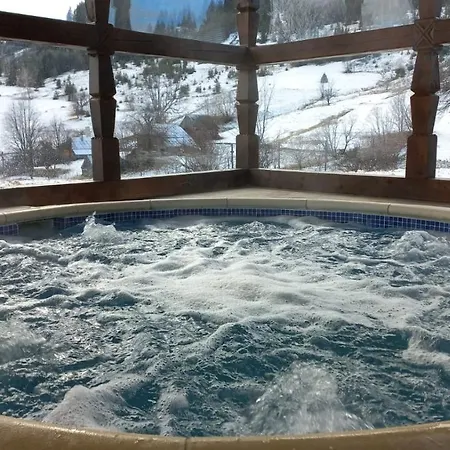 Pensiunea Poiana Vladesei Guest house Sacuieu
