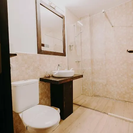 Guest house Pensiunea Poiana Vladesei Sacuieu
